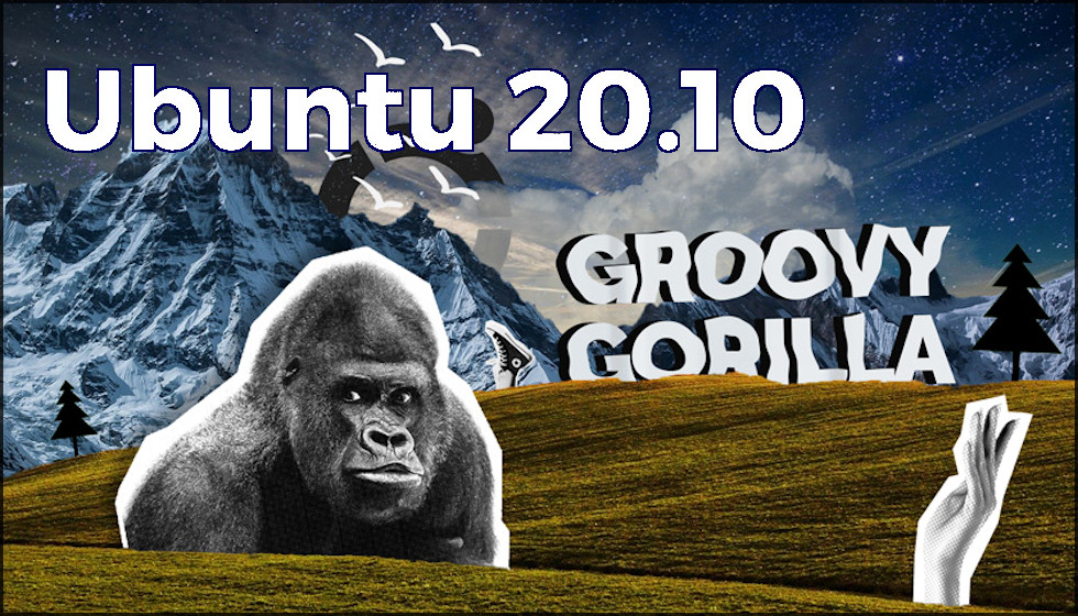 Ubuntu 20.10 (Groovy Gorilla)