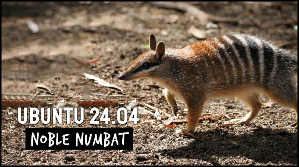 Ubuntu 24.04 (Noble Numbat)